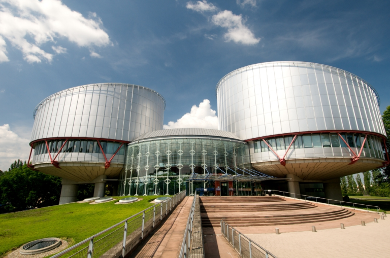 Ricorsi alla Corte Europea dei Diritti dell'Uomo di Strasburgo - AVVOCATO MICHELE PICCO